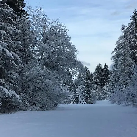 Gæstehus Landhaus Flaschberger 2*